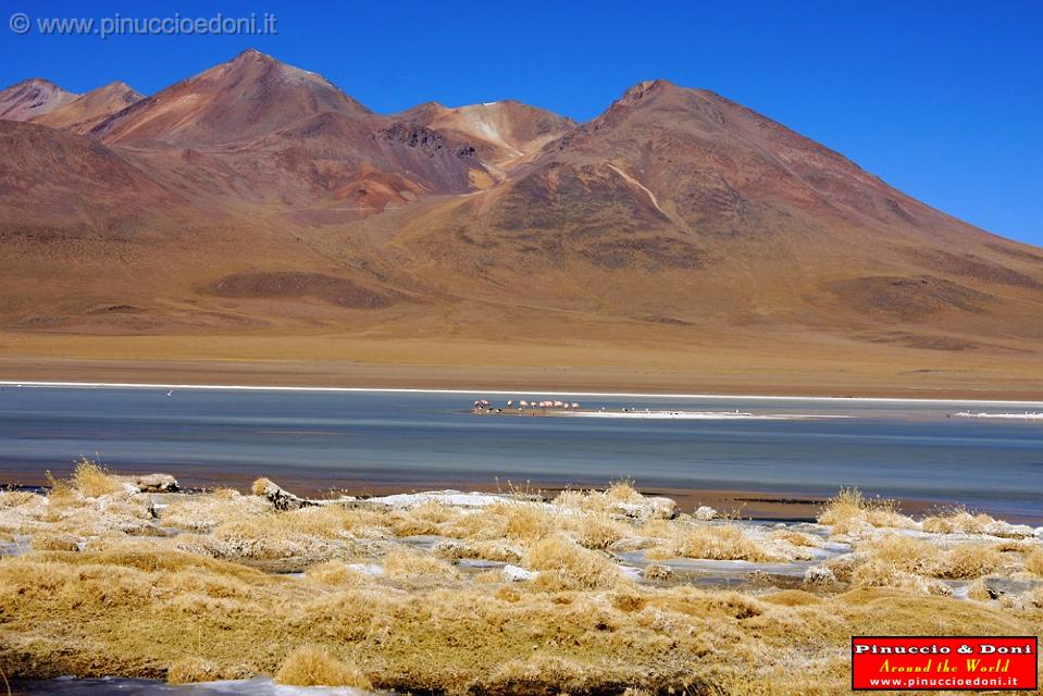 BOLIVIA 2 - Ruta de Las Joyas - Laguna Kanapa - 38.jpg